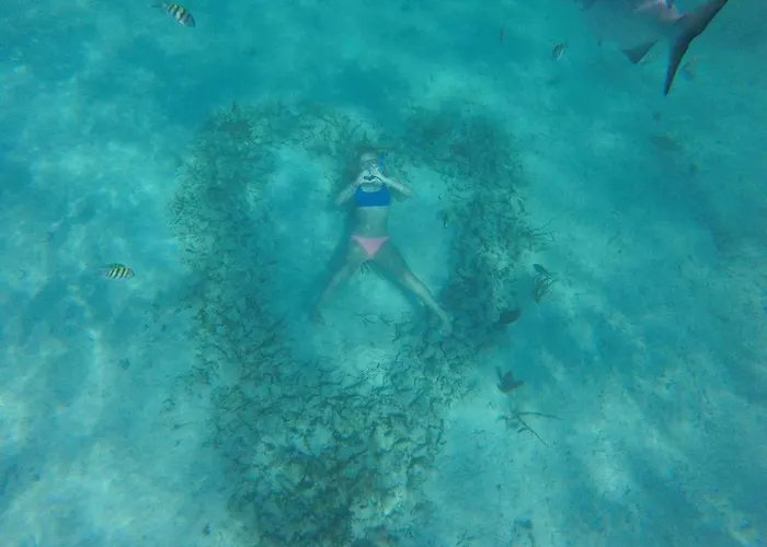 Playa Del Sol